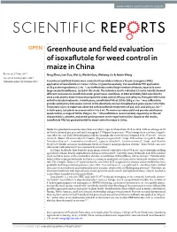 Greenhouse and Field Evaluation of Isoxaflutole for Weed Control In