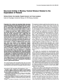 Neuronal Activity in Monkey Ventral Striatum Related to the Expectation of Reward