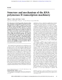 Structure and Mechanism of the RNA Polymerase II Transcription Machinery