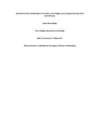 Structure-Function Relationships in the Water-Use Strategies and Ecological Diversity of the Bromeliaceae