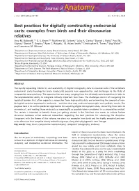 Best Practices for Digitally Constructing Endocranial Casts: Examples from Birds and Their Dinosaurian Relatives Amy M