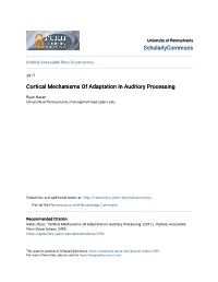 Cortical Mechanisms of Adaptation in Auditory Processing