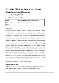 RT² Profiler PCR Array (Rotor-Gene® Format) Mouse Retinoic Acid Signaling