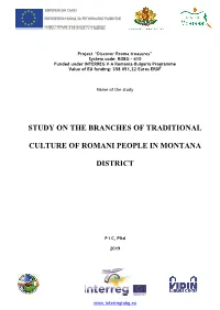 Study on the Branches of Traditional Culture Of