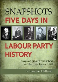 Five Days in Labour Party History by Brendan