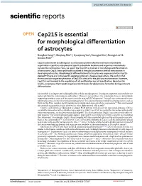 Cep215 Is Essential for Morphological Differentiation of Astrocytes