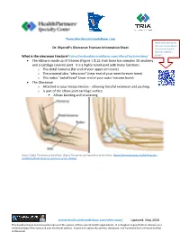 Olecranon Fractures Diagnosed? • the First Thing I Do Is Listen to Your Story