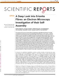 A Deep Look Into Erionite Fibres