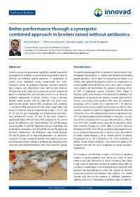 Better Performance Through a Synergistic Combined Approach in Broilers Raised Without Antibiotics