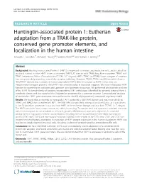 Eutherian Adaptation from a TRAK-Like Protein, Conserved Gene Promoter Elements, and Localization in the Human Intestine Amanda L