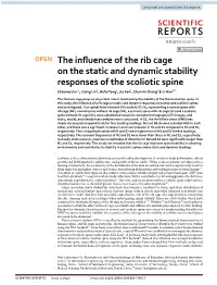 The Influence of the Rib Cage on the Static and Dynamic Stability