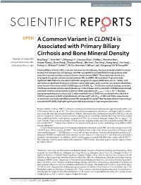 A Common Variant in CLDN14 Is Associated with Primary Biliary