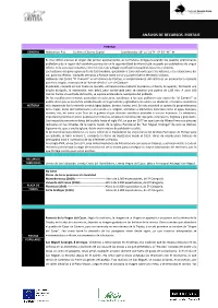 Análisis De Recursos. Portaje