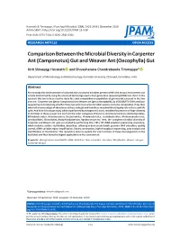 Comparison Between the Microbial Diversity in Carpenter Ant (Camponotus) Gut and Weaver Ant (Oecophylla) Gut