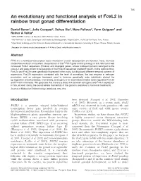 Downloaded from Bioscientifica.Com at 09/30/2021 12:01:31AM Via Free Access 706 D BARON and Others · Foxl2 and Rainbow Trout Gonad Differentiation