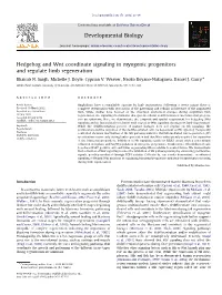 Hedgehog and Wnt Coordinate Signaling in Myogenic Progenitors and Regulate Limb Regeneration