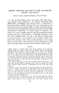 Feeding Behavior and Diet of the Long-Billed Curlew and Willet