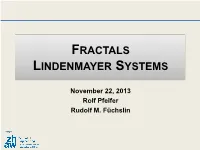 Fractals Lindenmayer Systems