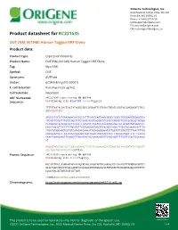 DUT (NM 001948) Human Tagged ORF Clone Product Data