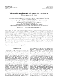 Infraspecific Morphological and Genome Size Variations in Linum Glaucum in Iran