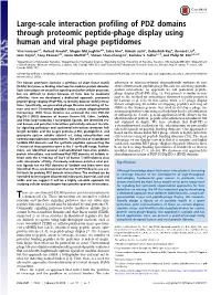 Large-Scale Interaction Profiling of PDZ Domains Through Proteomic Peptide-Phage Display Using Human and Viral Phage Peptidomes