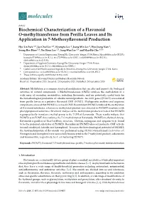 Biochemical Characterization of a Flavonoid O-Methyltransferase from Perilla Leaves and Its Application in 7-Methoxyﬂavonoid Production