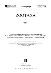 The Ant Genus Tetramorium Mayr (Hymenoptera: Formicidae) in the Malagasy Region—Introduction, Definition of Species Groups, and Revision of the T