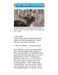 In the Mood Deer Have a Way of Advertising Their Wares and the Whereabouts– Scent, Sounds, and Body Language