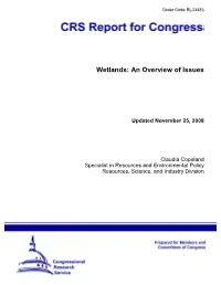 Wetlands: an Overview of Issues