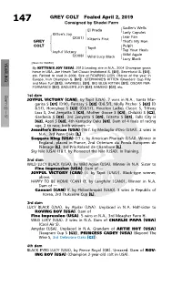 GREY COLT Foaled April 2, 2019