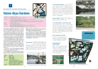 Hama-Rikyu Gardens Would Wait for Chance to the Scoop up the Birds with a Net from the Shadows of the Embankment
