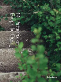 14 Patterns of Biophilic Design