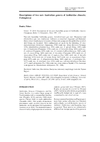 Descriptions of Two New Australian Genera of Anthicidae (Insecta: Coleoptera)