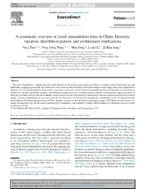 Diversity Variation, Distribution Pattern, and Evolutionary Implicat