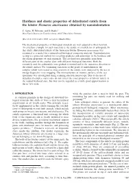 Hardness and Elastic Properties of Dehydrated Cuticle from the Lobster Homarus Americanus Obtained by Nanoindentation