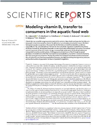 Modeling Vitamin B1 Transfer to Consumers in the Aquatic Food Web M