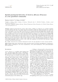 Spatial Genotypical Diversity of Sesleria Albicans (Poaceae) in a Dry Grassland Community