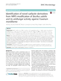 Identification of Novel Surfactin Derivatives from NRPS Modification