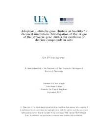 Investigation of the Origin of the Avenacin Gene Cluster for Synthesis of Defense Compounds in Oats