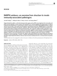 NADPH Oxidases: an Overview from Structure to Innate Immunity-Associated Pathologies