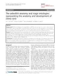 The Zebrafish Anatomy and Stage Ontologies: Representing the Anatomy and Development of Danio Rerio