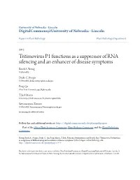 Tritimovirus P1 Functions As a Suppressor of RNA Silencing and an Enhancer of Disease Symptoms Brock A