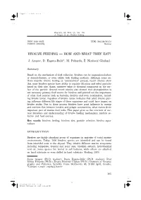 Bivalve Feeding — How and What They Eat?