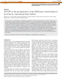 DGCR6 at the Proximal Part of the Digeorge Critical Region Is Involved in Conotruncal Heart Defects