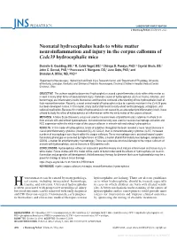 Neonatal Hydrocephalus Leads to White Matter Neuroinflammation and Injury in the Corpus Callosum of Ccdc39 Hydrocephalic Mice
