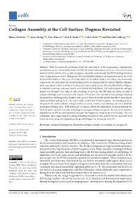 Collagen Assembly at the Cell Surface: Dogmas Revisited