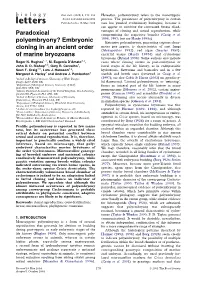 Paradoxical Polyembryony? Embryonic Cloning in an Ancient