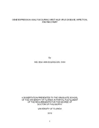University of Florida Thesis Or Dissertation Formatting