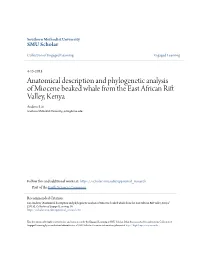 Anatomical Description and Phylogenetic Analysis of Miocene