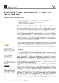 Mitochondrial Structure and Bioenergetics in Normal and Disease Conditions
